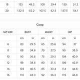 Curate by Trelise Cooper Star Appeal Dress