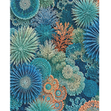 Silk Modal Scarves